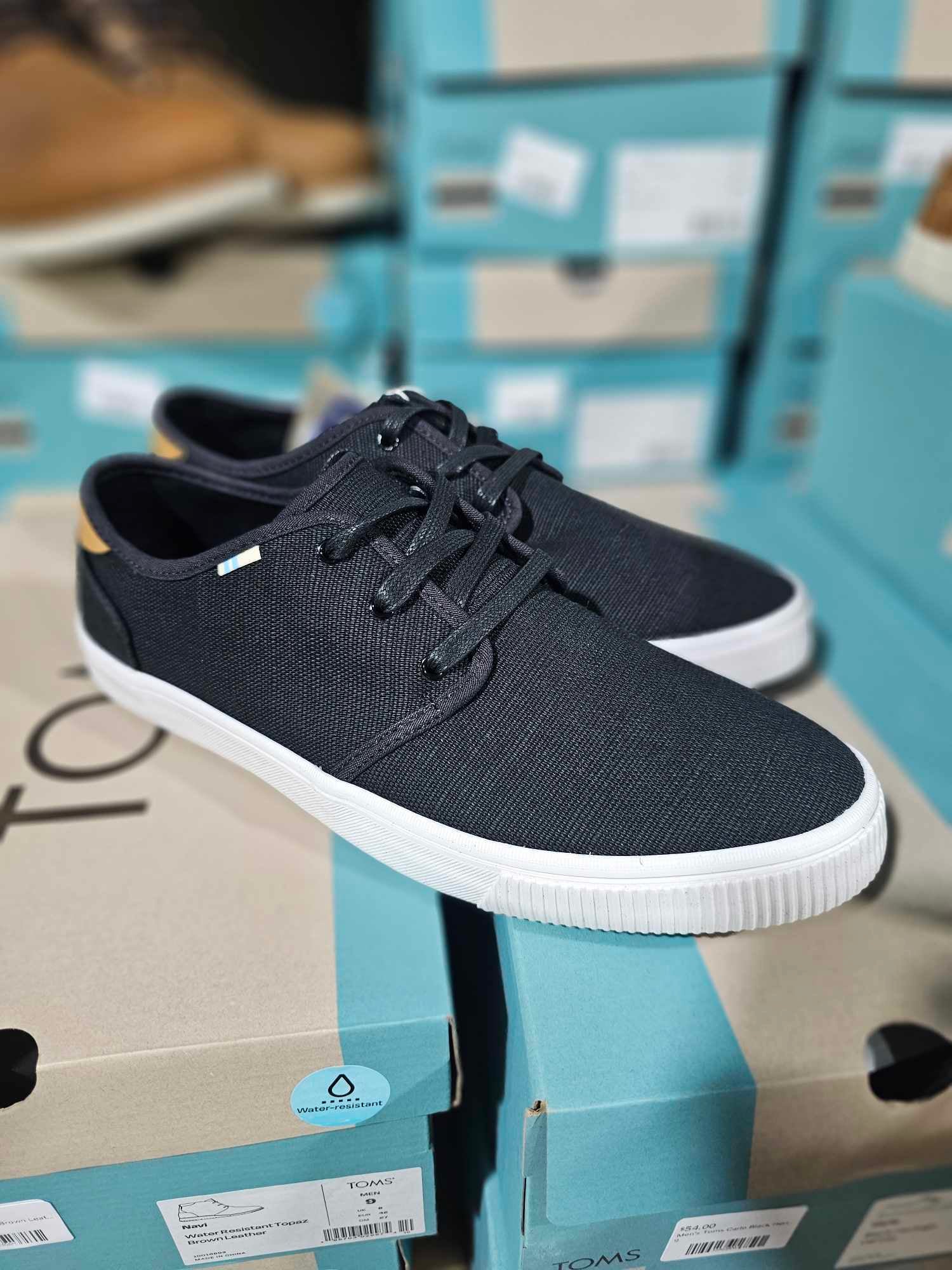 Men s Toms Carlo Black Heritage Canvas